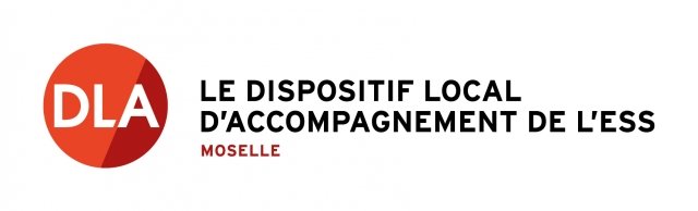 DLA : Accompagnement collectif DLA stratégie - projet associatif