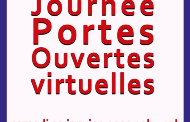 IRTS : Journée Portes Ouvertes en ligne - Webinaires