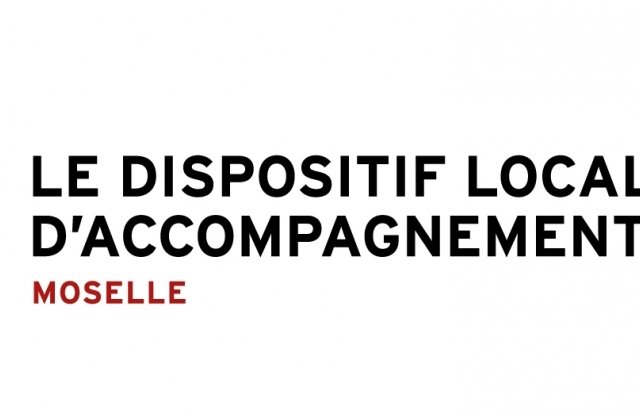 DLA : Accompagnement collectif DLA stratégie - projet associatif